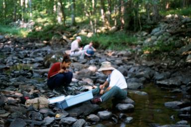 Children and adults study stream